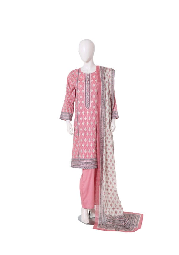 Embroidery Suit Printe